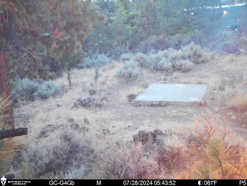Brush fire detected by Security Pros surveillance camera at Empire Corporate Park, Time: 5:43