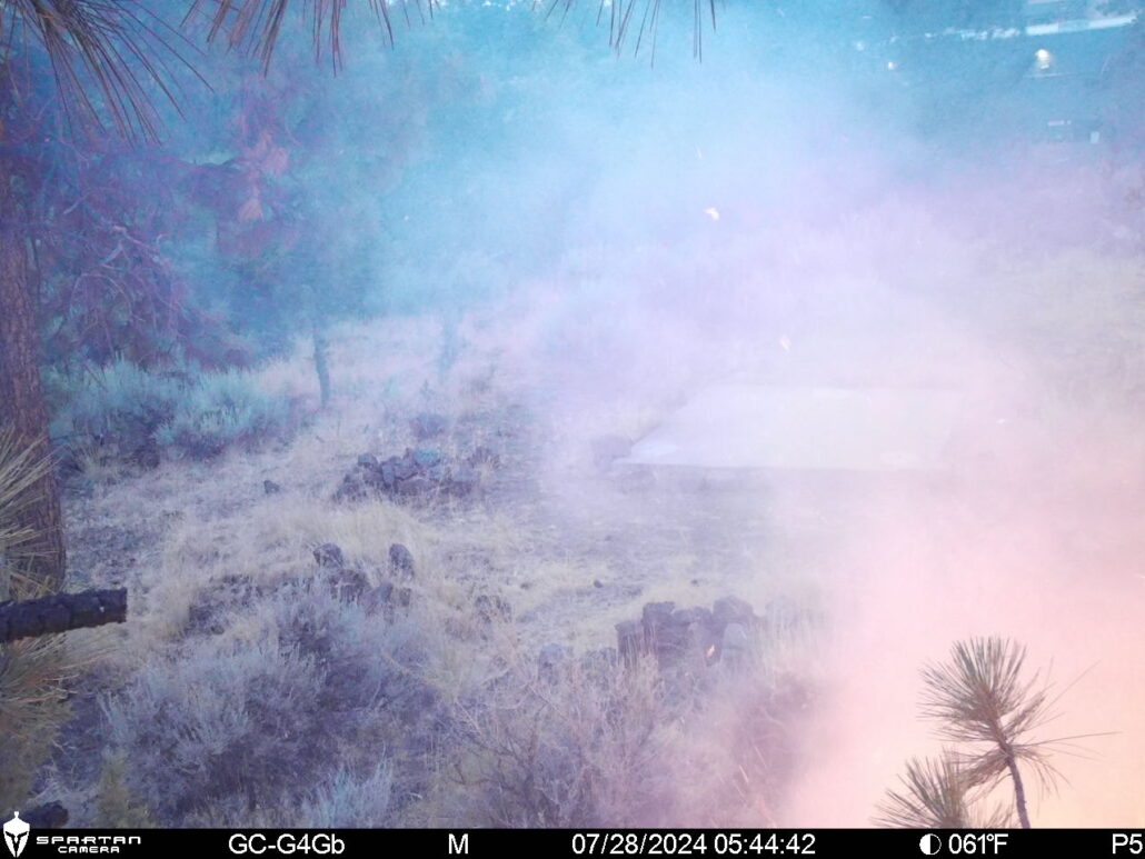 Brush fire detected by Security Pros surveillance camera at Empire Corporate Park, Time: 5:44